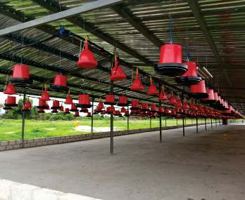 Gama Farms Chicken Houses